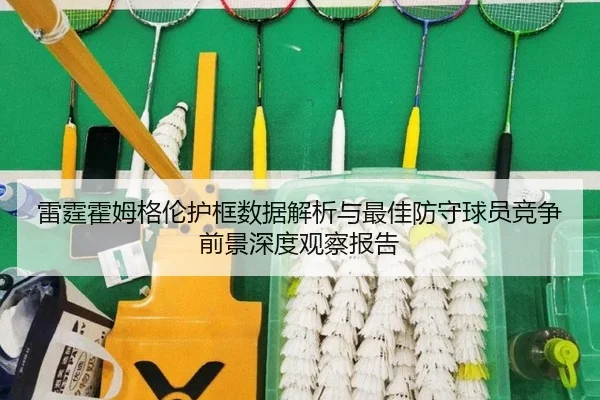 雷霆霍姆格伦护框数据解析与最佳防守球员竞争前景深度观察报告 - pg