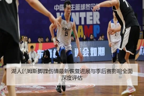 湖人詹姆斯脚踝伤情最新恢复进展与季后赛影响全面深度评估